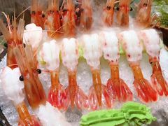 牡丹虾刺身-悦和餐厅(CBD玉米楼店)