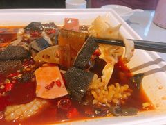 精品毛血旺-国人川菜(李家村建东街店)