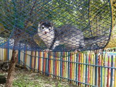 -西部长青自然儿童乐园