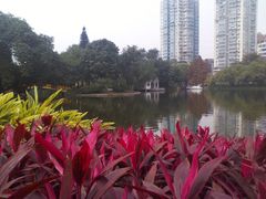-晓港公园