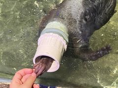 -重庆欢乐海底世界