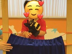 -浦东三林赢在起点早教中心·亲子托班早教体验课儿童兴趣班逻辑思维专注力幼小衔接			(金谊广场中心)