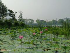 -长春北湖公园