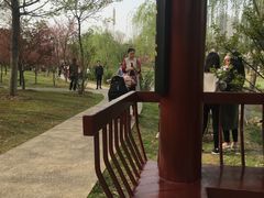 -堤角公园