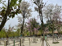 -黄龙溪欢乐田园