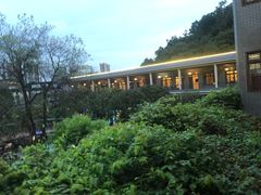 -花果山庄•现烤荔枝柴烧鹅