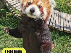 -水上乐园·欢乐世界