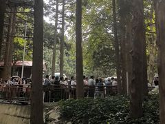 -含鄱口