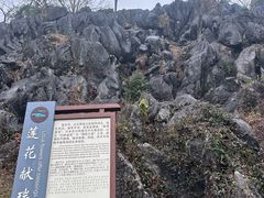 -千岛湖石林
