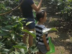 -小六农家乐(崇明西沙湿地店)