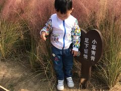 -艾溪湖湿地公园