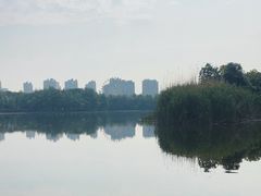 -洋湖国家湿地公园