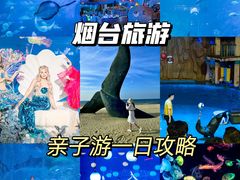 -烟台海昌鲸鲨海洋公园