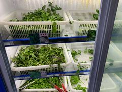 -黔府豆米火锅野菜馆(南马店)