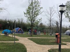 -上海长兴岛郊野公园