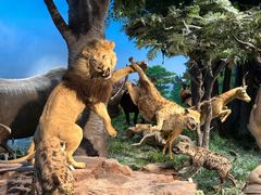 -国家自然博物馆