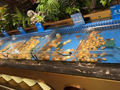 -鼎香缘海鲜自助火锅烤肉(锦辉购物广场店)