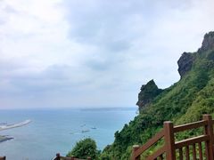 -涉地可支