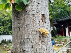 -采石矶景区