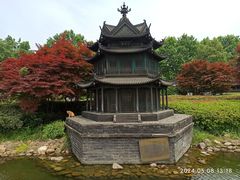 -岳阳楼景区