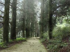 -庐山风景区花径公园