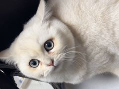 -东莞宠友24H宠物中心医院·转诊夜诊·异宠(新河北路院)