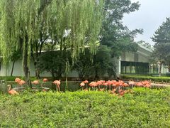 -石家庄市动物园