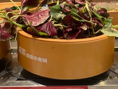 -龍歌自助小火锅(李沧丽达店)