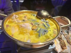 -Darling Queen·Mini·Live·House