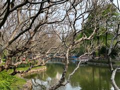 -晓港公园