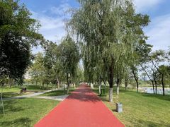 -咸阳湖景区-古渡公园