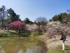 -杭州植物园
