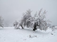-太子岭滑雪场