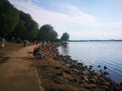 -丁香湖公园