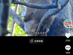 -昆明动物园