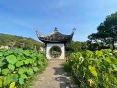 -宜兴张公洞