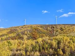 -塞罕坝国家级自然保护区