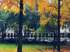 -西南交通大学(九里校区)