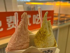 -野人先生现做冰淇淋(西安赛格店)