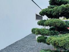 -黎里古镇