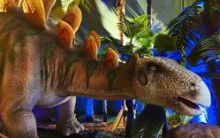 -恐龙探索乐园(磁器口店)