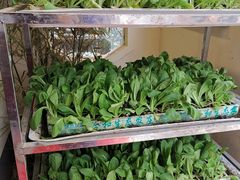 -福照楼汽锅鸡·云南菜(护国路店)