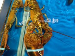 -盒马鲜生(莱蒙都会店)