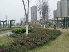 -府河摄影公园