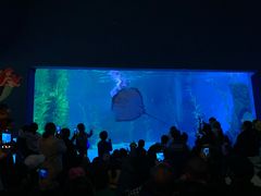 -常州海昌海洋探索馆