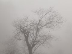 -明堂山风景区