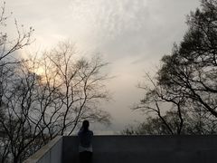 -紫金山山顶公园