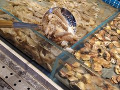 -一方渔歌蒸汽海鲜自助(文化路万达广场店)