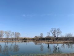 -大兴滨河森林公园