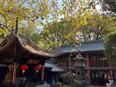 -灵谷景区